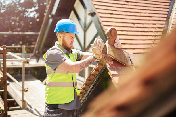 Best Roof Gutter Cleaning  in Manchester, GA